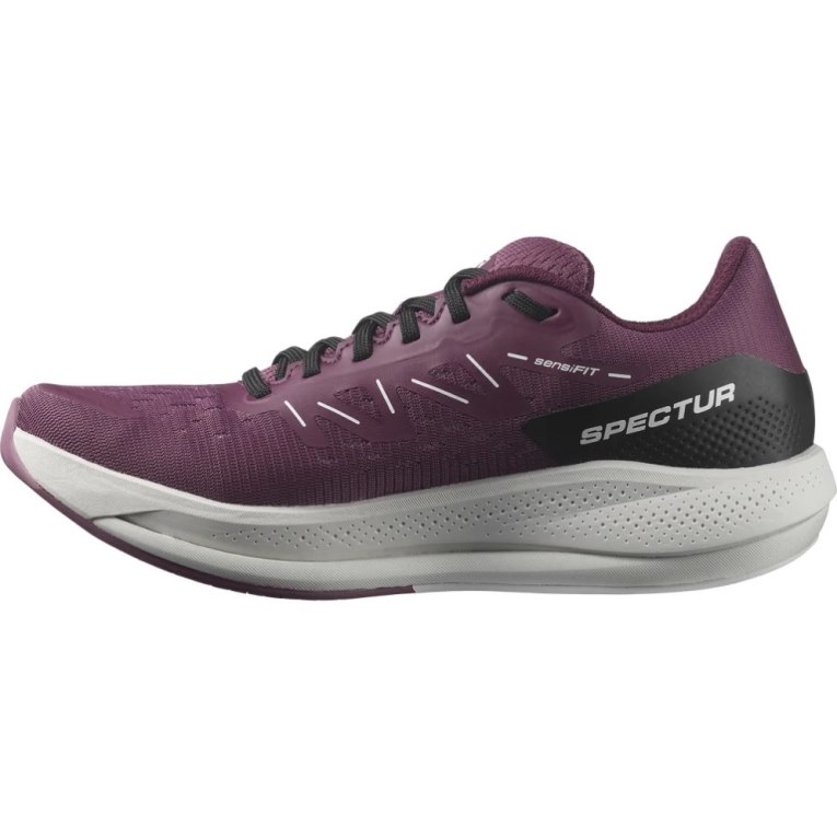 Salomon Spectur Women's Running Shoes Purple | CA 26A95